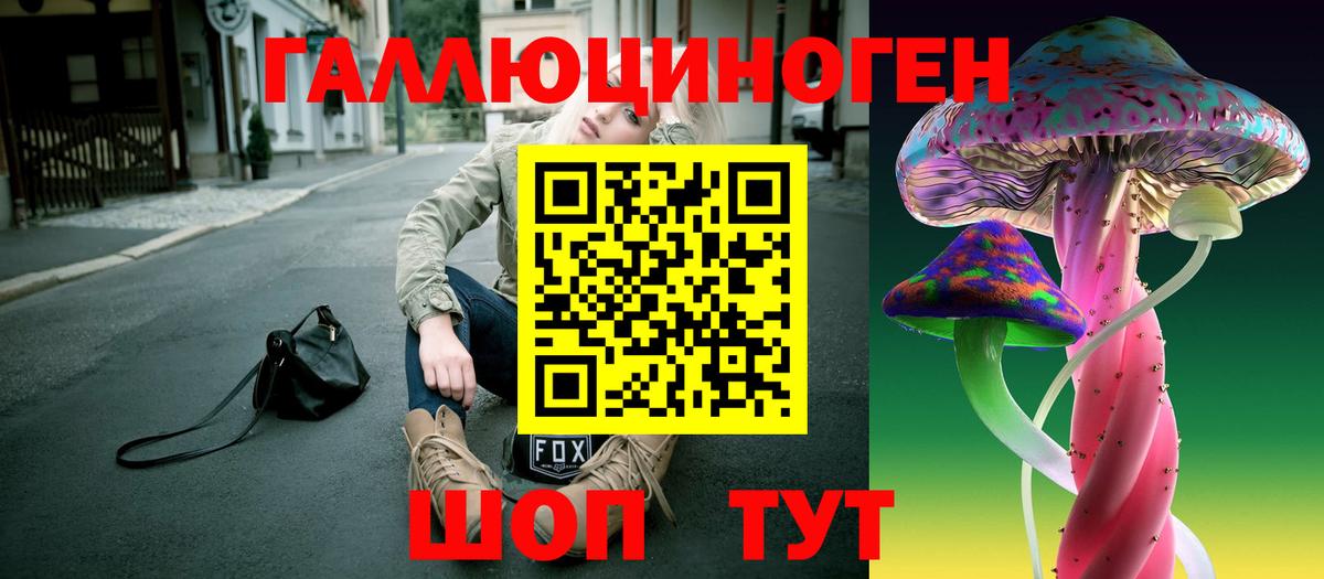 Псилоцибиновые грибы Psilocybe Михайловка