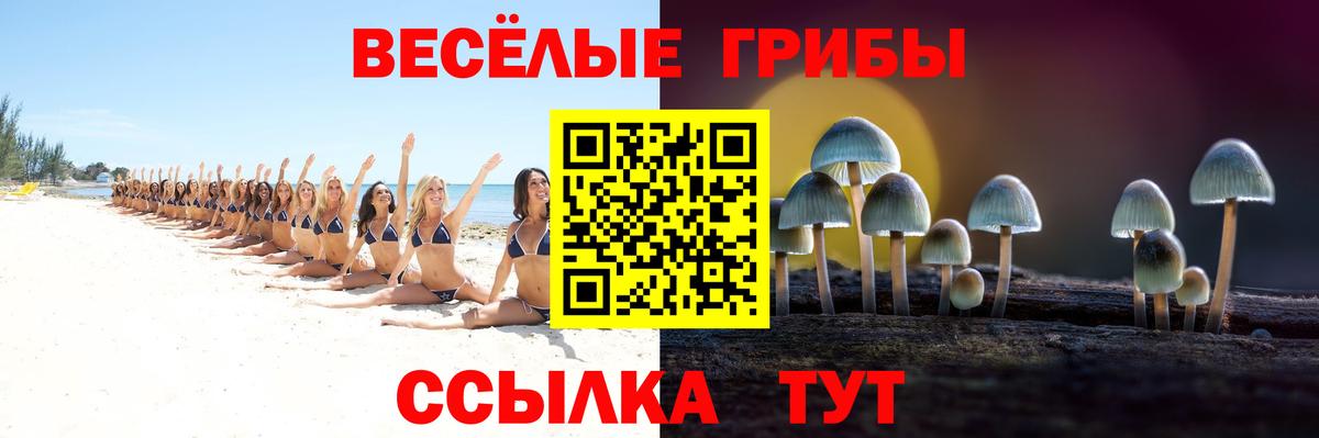 Псилоцибиновые грибы прущие грибы  Вход с VPN  Галлюциногенные грибы Psilocybine cubensis  Михайловка 